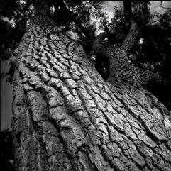 Textures & Backgrounds